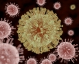 Consell Salut Virus Zika